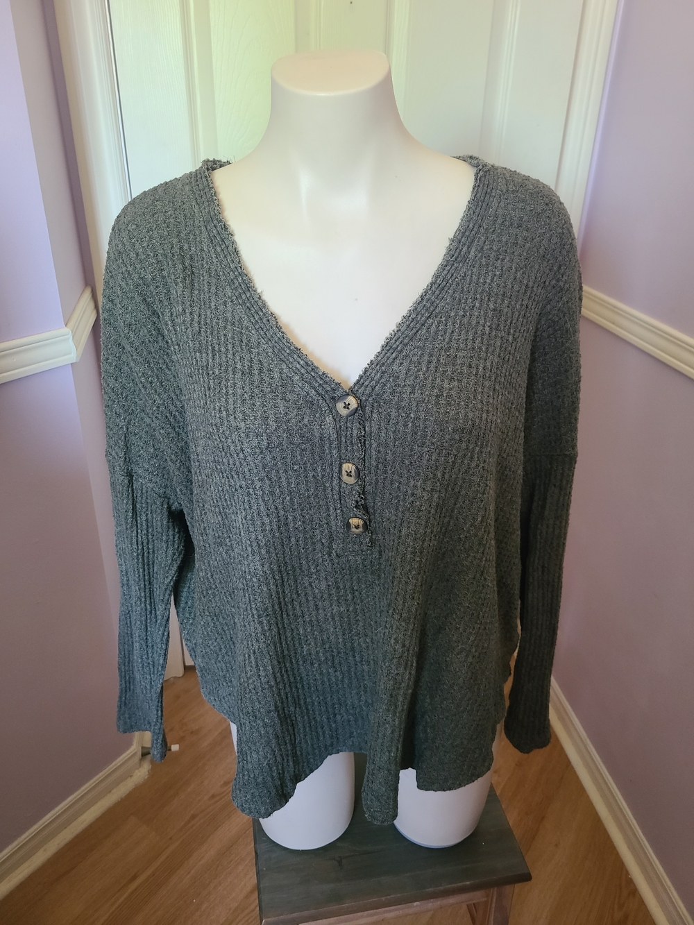 American Eagle Outfitters Soft & Sexy Plush Knit Top in Green